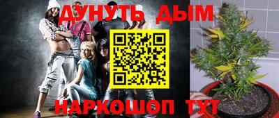 МДПВ Краснодар