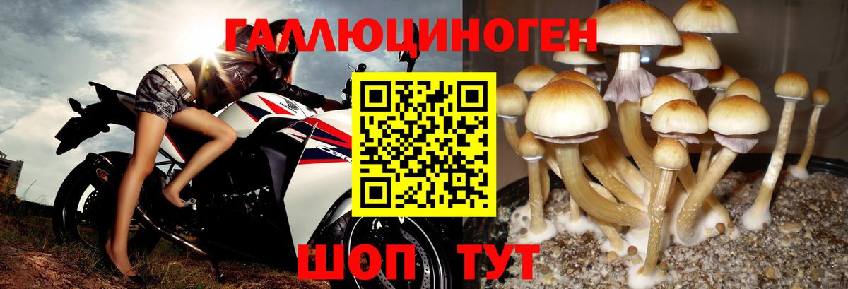 Галлюциногенные грибы MAGIC MUSHROOMS  как найти   Кыштым  Вход с VPN 